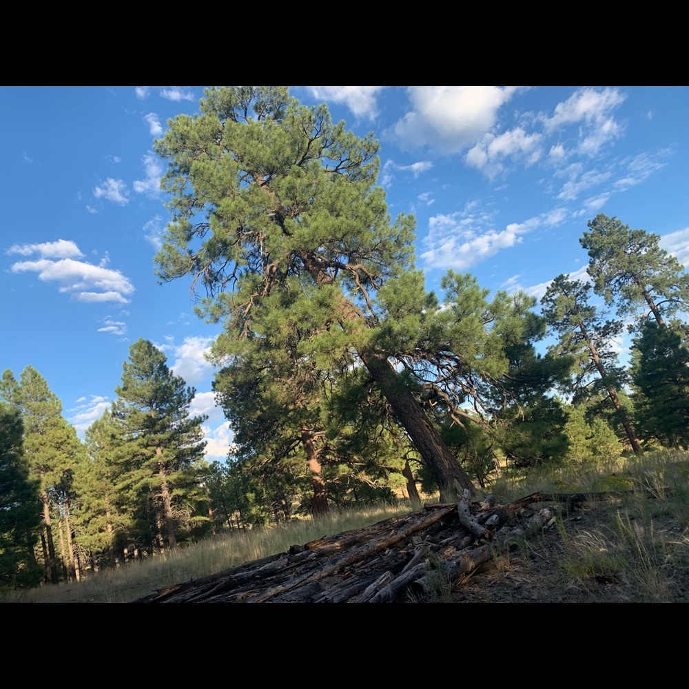 Meet your Posher, Mollee